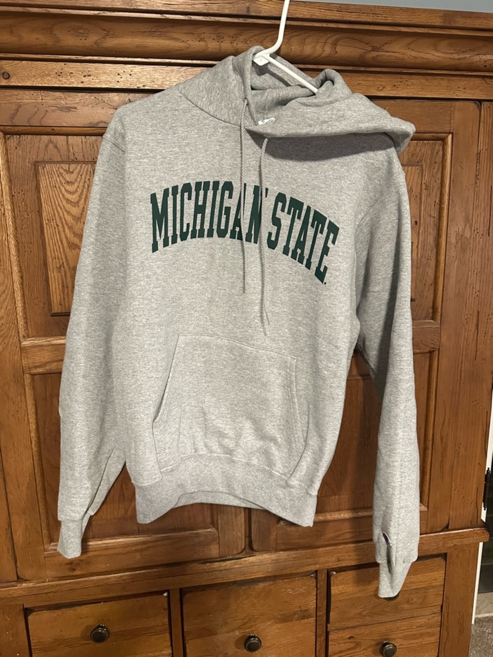 NWOT Champion Michigan State Hoodie Adult Small